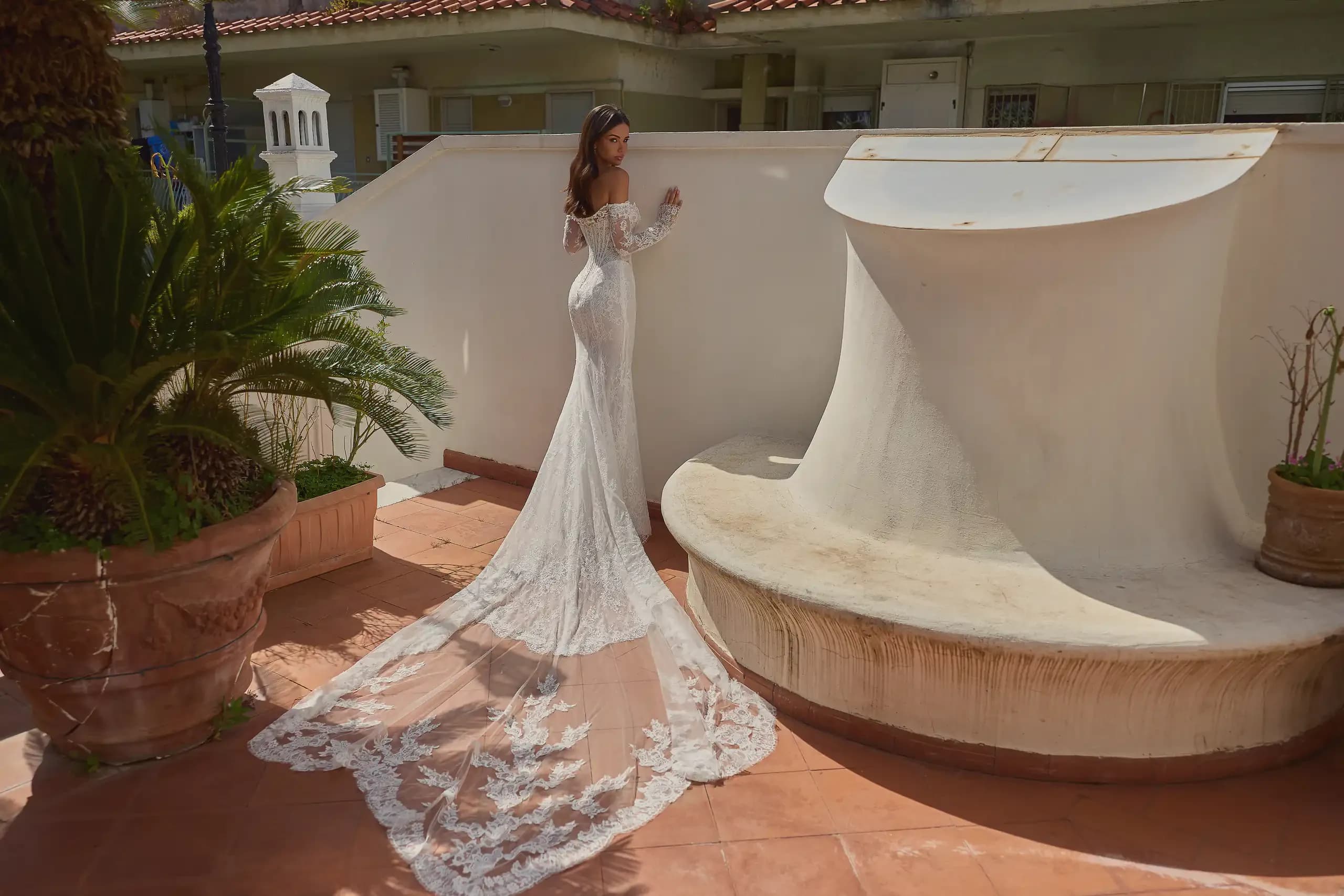 Brisea – Capri
