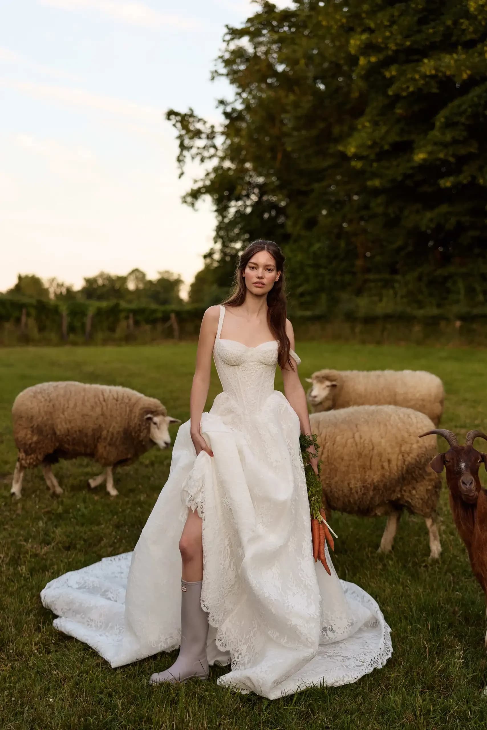 Elisora – Milla Nova