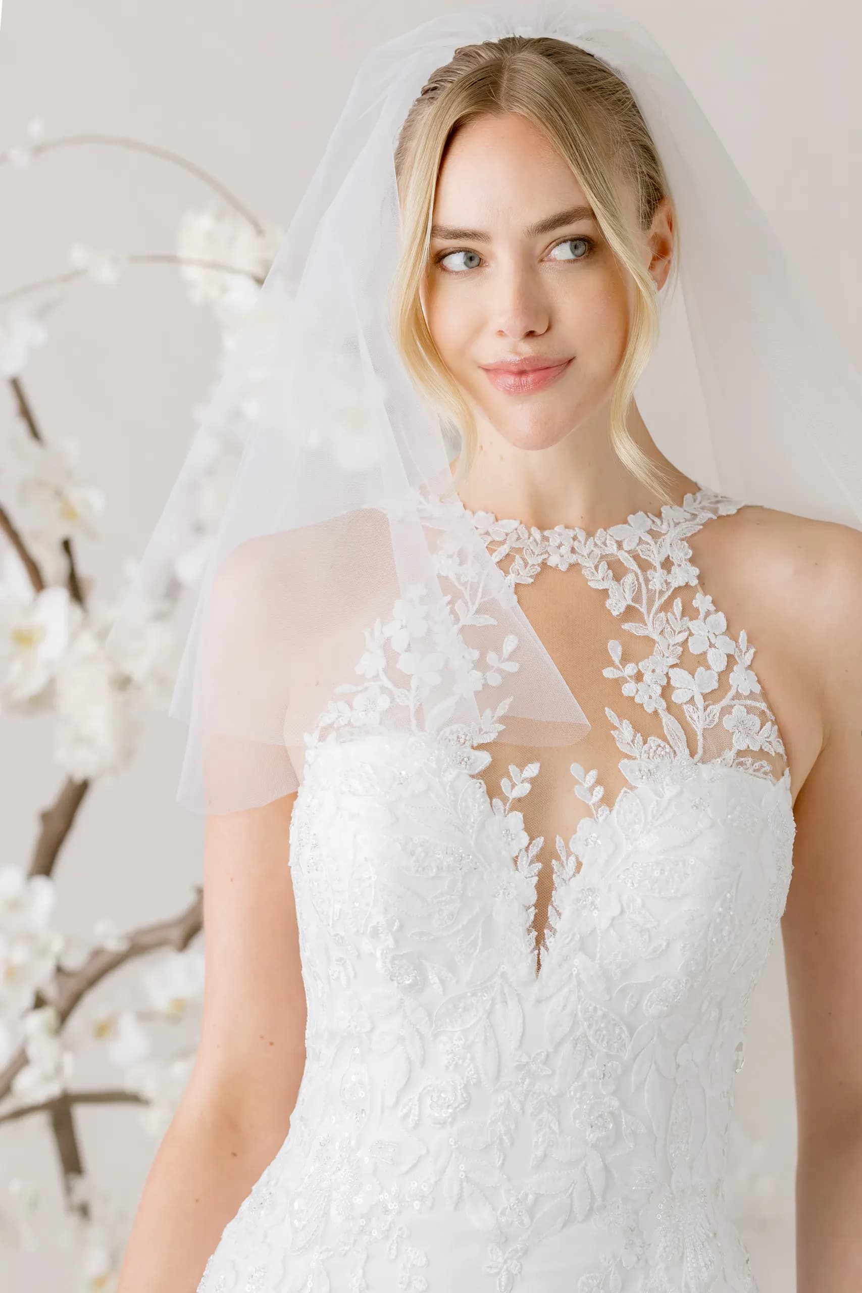 1010013 – Morilee