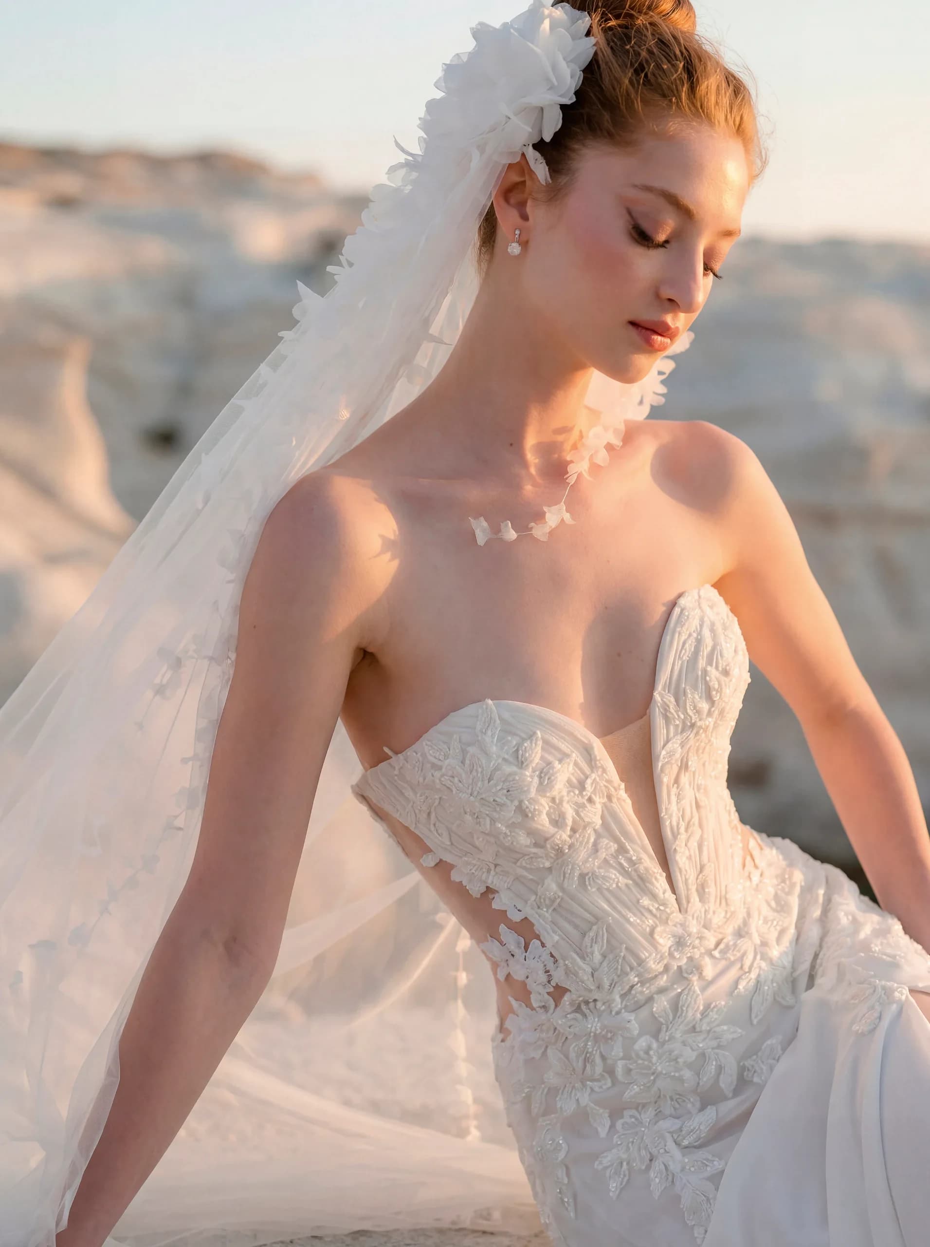 1050050 – Morilee