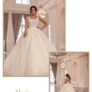 Alesia - immagine 3