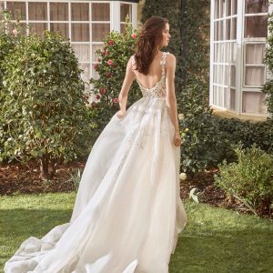 tory - immagine 2