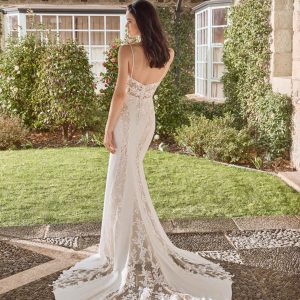 gala - immagine 2