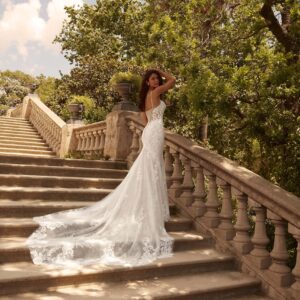 Alba- - immagine 3